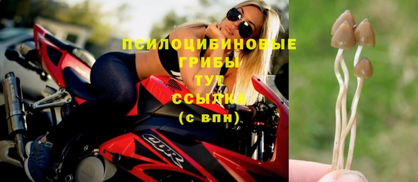 PSILOCYBIN Богородицк