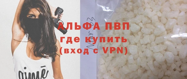 шишки Белоозёрский