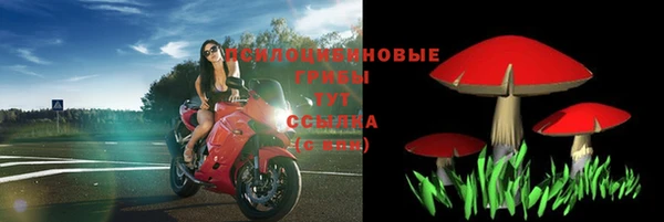 мяу мяу мука Беломорск