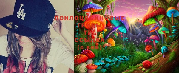 не бодяженный Богданович