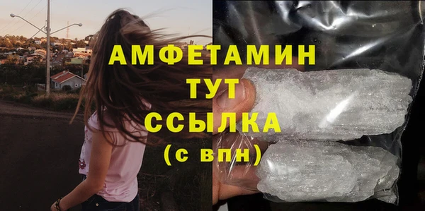 шишки Белоозёрский