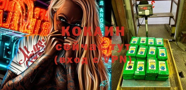 шишки Белоозёрский