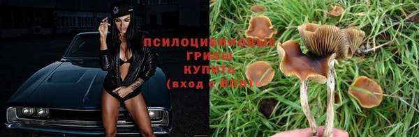 не бодяженный Богданович