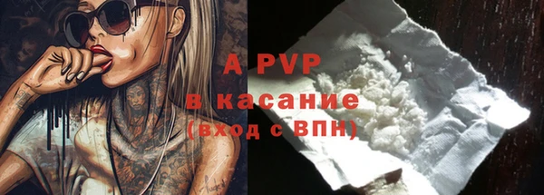 шишки Белоозёрский