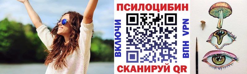 Псилоцибиновые грибы Psilocybe  Пестово 